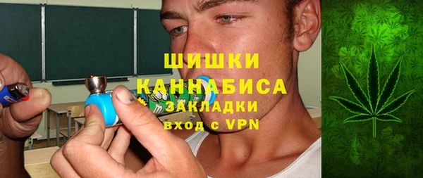 стафф Алексин