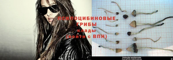 стафф Алексин