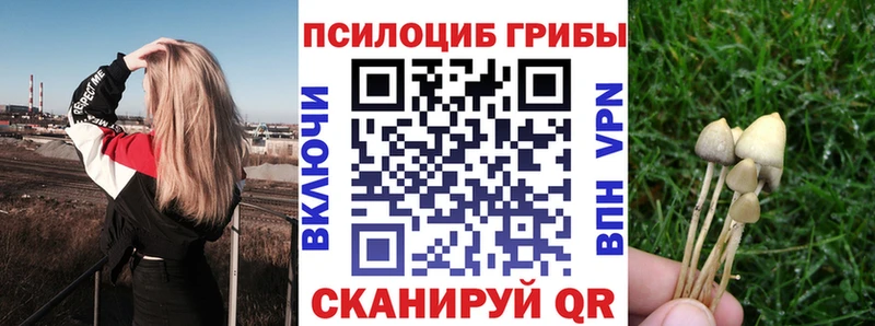 Псилоцибиновые грибы Psilocybe  где купить наркоту  Печоры 